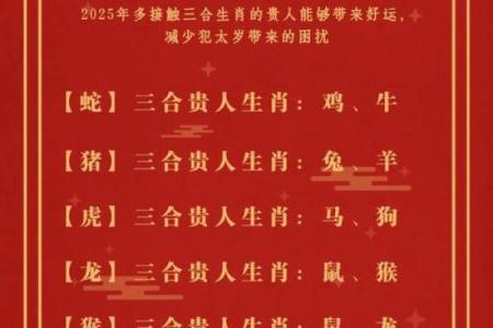 2025年属猪冲太岁运势解析及化解方法