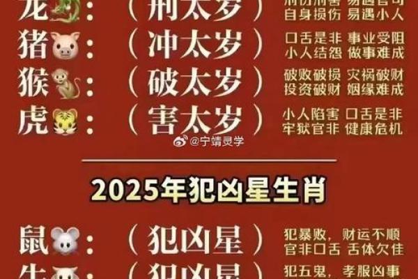 2025猪年运势及运程 2025猪年运势及运程详解