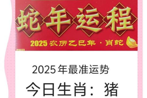 2025年属猪的人运气怎么样 2025年属猪人的全年运势详解