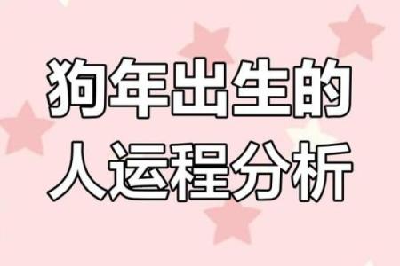 2025年生肖狗运 2025年生肖狗运势详解财运事业感情全解析