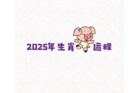 2025猪年运势及运程 2025猪年运势及运程详解