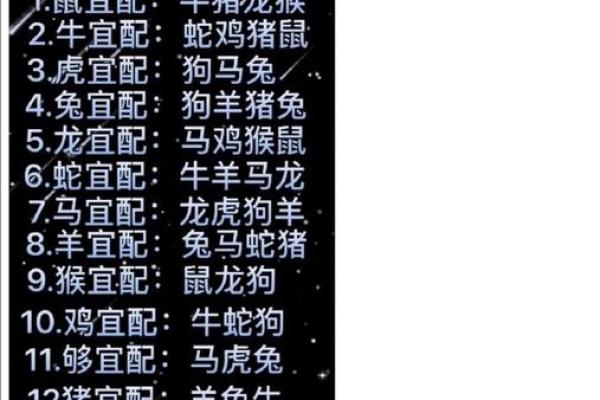 生肖属狗的最佳配偶揭秘完美婚配指南