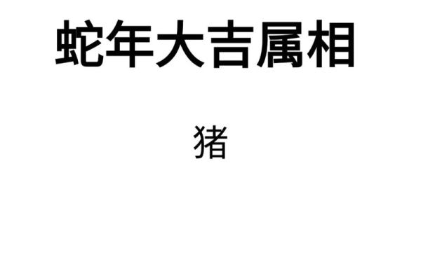 属猪1995年2025年运势及运程_1995年属猪人2023年运势运程每月运程