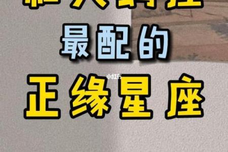 双子座和天蝎座匹配(双子座和天蝎座匹配度)