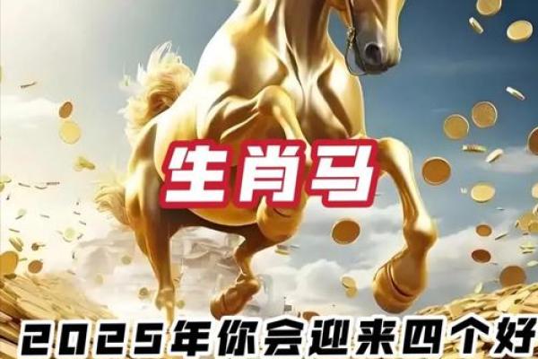 90年属马女2025年运势 90年属马女2025年运势完整版