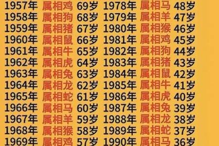 1984年属鼠2025年运势及运程