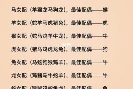 金马玉堂是什么生肖