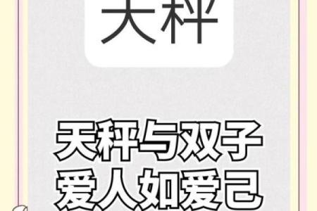 双子座 天平座(双子座天平座配对指数是多少)
