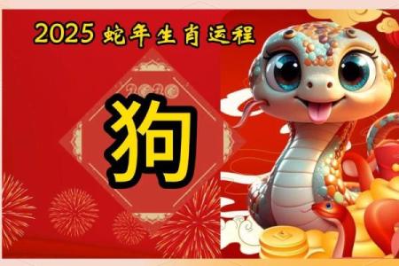 2025年属狗最后一难 70年属狗55岁大劫难