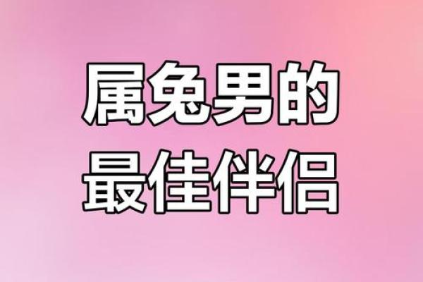 属兔男最佳婚配前十名属相_属兔男的最佳配对 属兔男最佳婚配前十名属相_属兔男的最佳配对