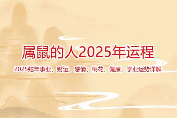 2025年属鼠运势及运程 2025年属鼠运势及运程