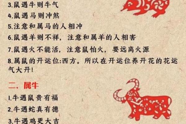 攀高枝儿是什么生肖