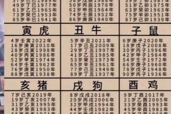 2025年06年属狗人年龄揭秘你几岁了