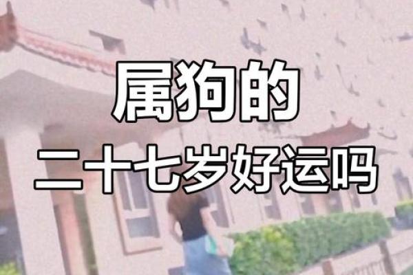 1994年属狗一生运势 1994年属狗一生运势详解财运事业爱情全解析 1994年属狗一生运势 1994年属狗一生运势详解财运事业爱情全解析