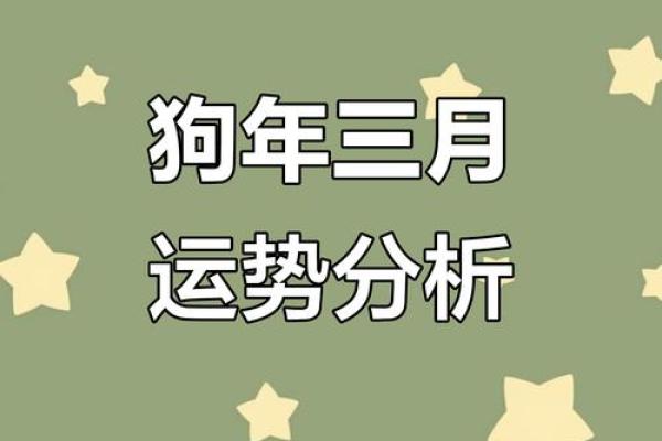 2025年的狗全年运势如何 2025年狗年运势详解全年运程大揭秘