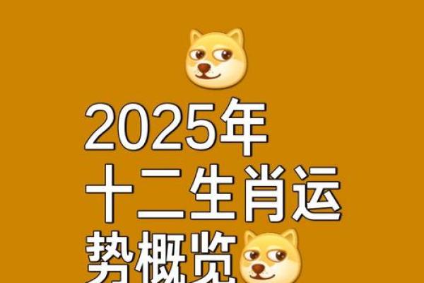 1996年鼠2025年运势