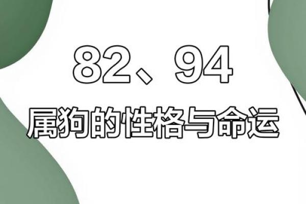 1982年属狗女2025年运势完整版 1982年属狗女2025年全年的运势
