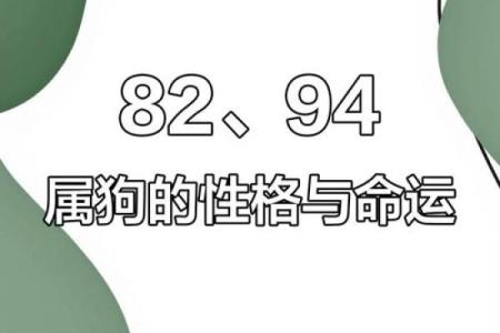 1982年属狗女2025年运势完整版 1982年属狗女2025年全年的运势