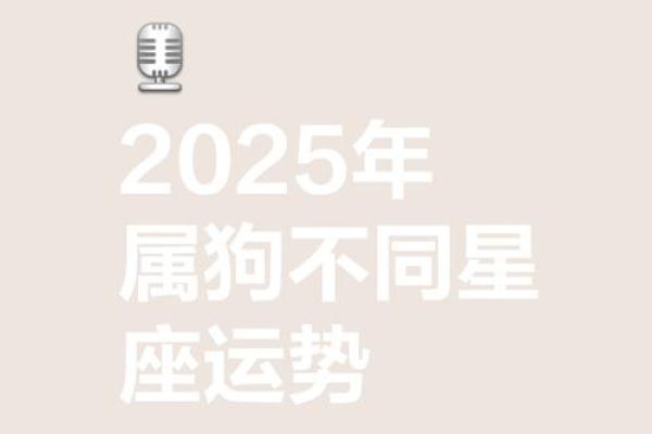 2025年属狗犯太岁吗运势解析与化解方法