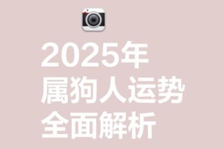 属狗人的2025年运势_2025年属狗人运势详解事业财运爱情全解析