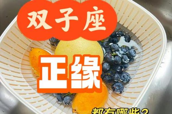 双子座和狮子座哪个脾气大(双子座和狮子座哪个脾气大一点)