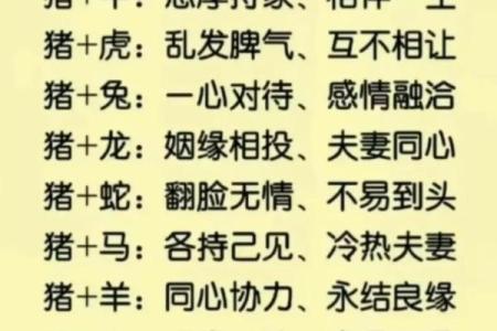 属龙女与属猪男婚配缘分天定还是性格不合