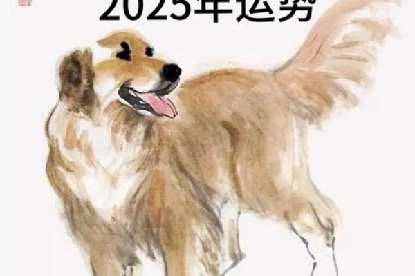 属狗2025年_属狗2025年运势及运程每月运程