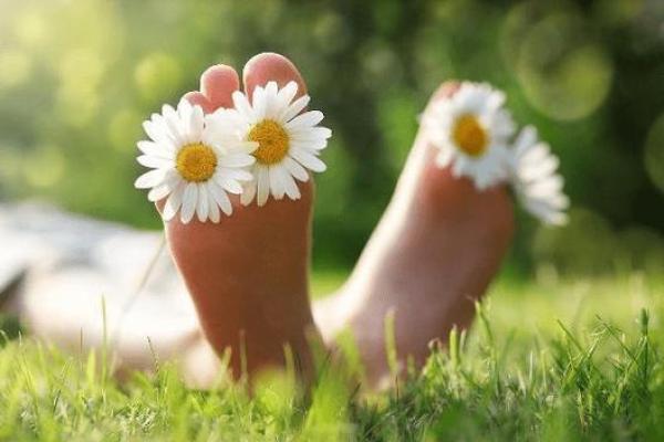 躲在角落不见人指什么生肖 躲在角落不见人指什么生肖