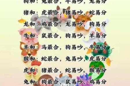 属马和属猪的适合做夫妻吗 两个人属兔可以做夫妻吗