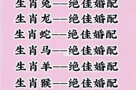 牛和狗的属相适合做夫妻吗_牛狗属相婚配天生一对还是水火不容