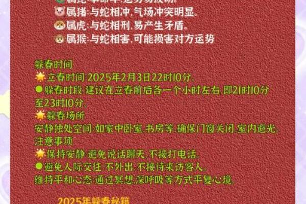 2025年双立春属猪运势解析机遇与挑战并存