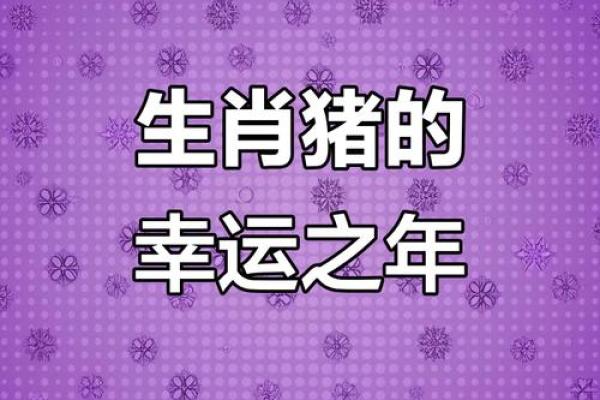 2025年属猪人每月运势及运程 2025属猪血光之灾 2025年属猪人每月运势及运程 2025属猪血光之灾