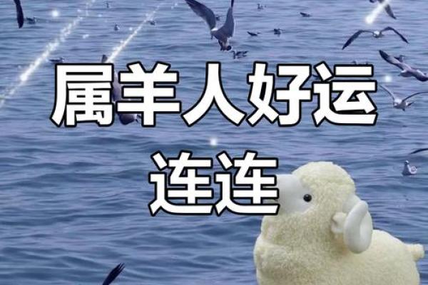 79年属羊44岁2023年运势 79年属羊2023年运势及运程每月运程灵机 79年属羊44岁2023年运势 79年属羊2023年运势及运程每月运程灵机