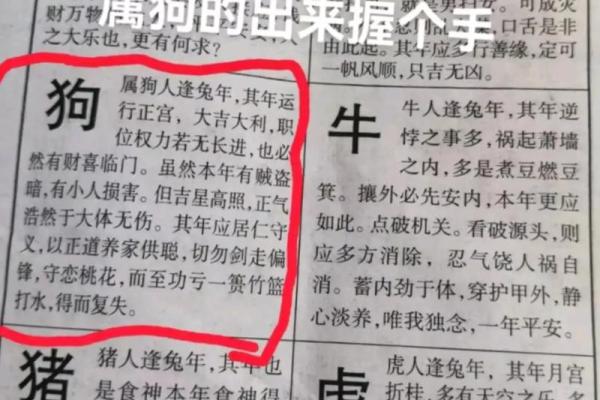 1994年2025年属狗的全年运势_94年狗在2025年运势及运程 1994年2025年属狗的全年运势_94年狗在2025年运势及运程