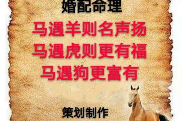 1978年属马女的是什么命运 1978年属马女的是什么命运呢 1978年属马女的是什么命运 1978年属马女的是什么命运呢