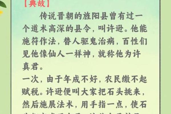 点石成金打一个生肖