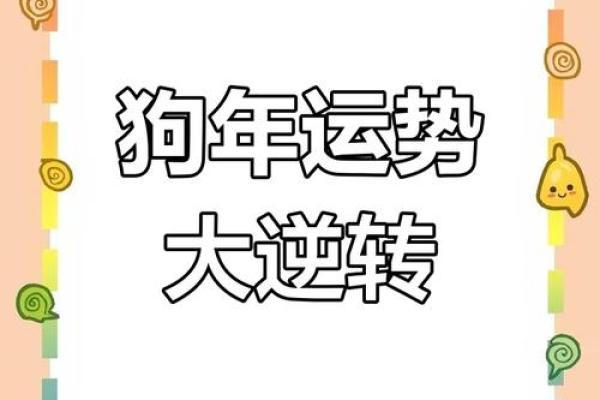 属狗的今天运势和财运 属狗今日运势与财运解析好运连连财运亨通