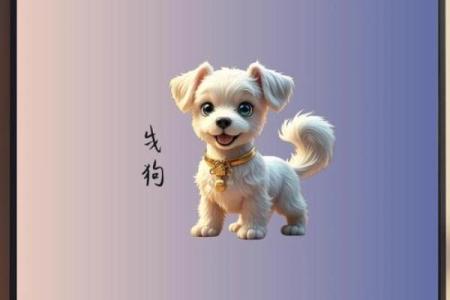 属狗女今天打牌的运气_2025属狗要小心一个人