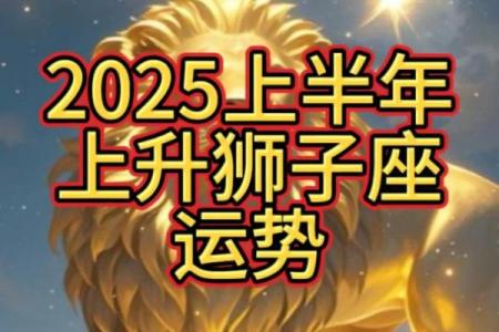 2024年狮子座今日运势星座屋_2024年狮子座今日运势详解星座屋独家预测