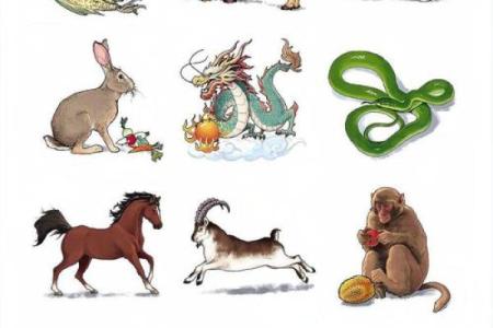 察言观色打一生肖