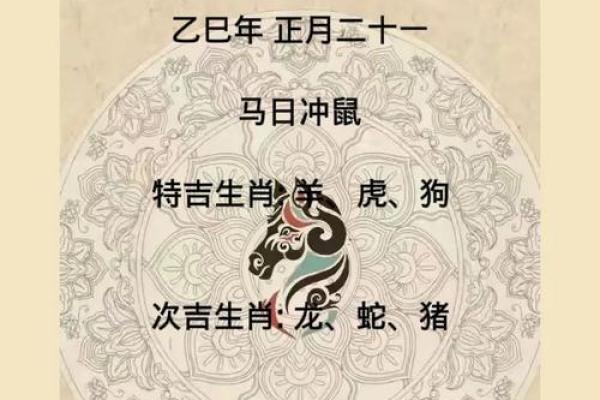 2025年鼠的运势 2025年鼠的运势