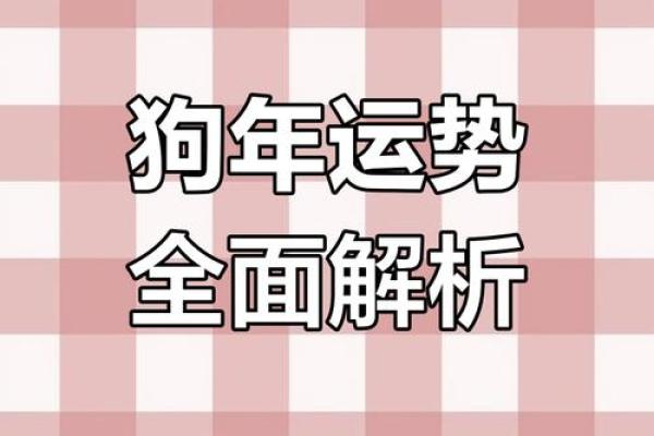 属狗蛇年运势2025年_2025年属狗蛇年运势解析财运事业爱情全攻略