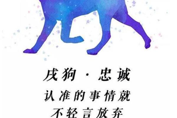 94年狗2025年的运势 2025年运势解析94年属狗人未来一年运程全揭秘 94年狗2025年的运势 2025年运势解析94年属狗人未来一年运程全揭秘