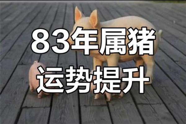 1983年属猪人2025全年运势_83年属猪的2025年运势怎么样