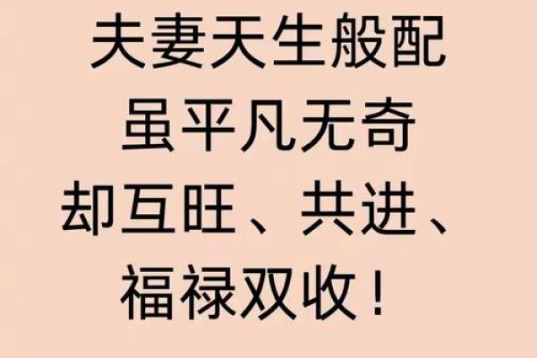 曲高和寡代表什么生肖