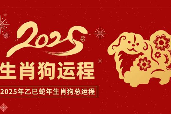 属狗在蛇年2025运势_82年属狗人42岁过七劫 属狗在蛇年2025运势_82年属狗人42岁过七劫