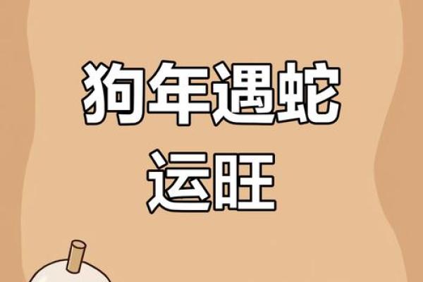 属狗在蛇年2025运势_82年属狗人42岁过七劫 属狗在蛇年2025运势_82年属狗人42岁过七劫