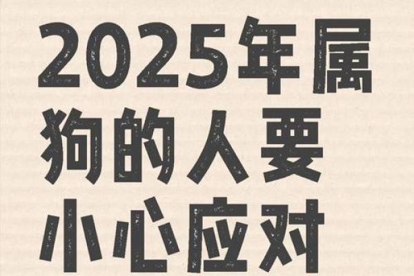 属狗2025年的运势及运程1994_2025年属狗的全年运势 属狗2025年的运势及运程1994_2025年属狗的全年运势