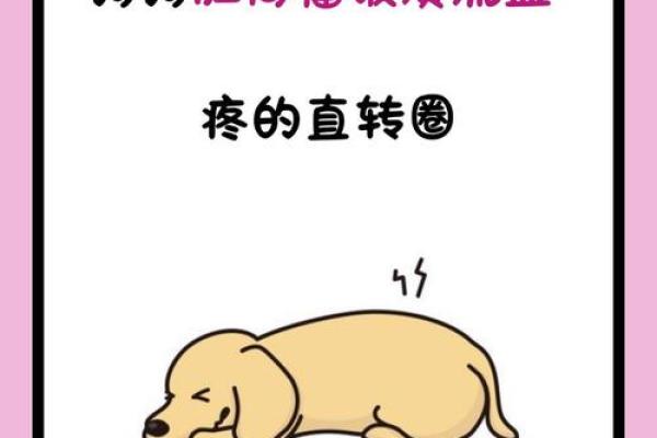 狗窦大开是什么动物 狗窦大开是什么动物