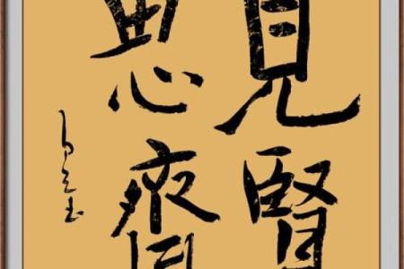 见贤思齐猜一肖